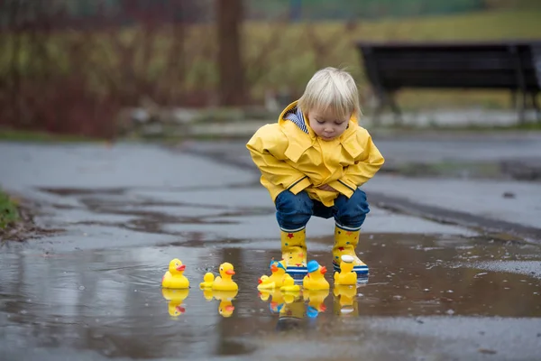 Beautiful funny blonde toddler boy with rubber ducks and colorfu — Stock Photo, Image