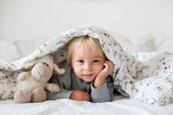 Little toddle boy, playing with teddy toy, hiding under the cove — Stock Photo, Image