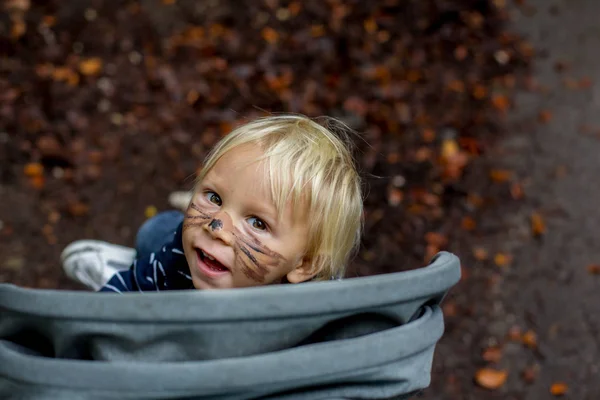 Adorabile bambino bambino biondo con maschera orso e viso dipinto — Foto Stock