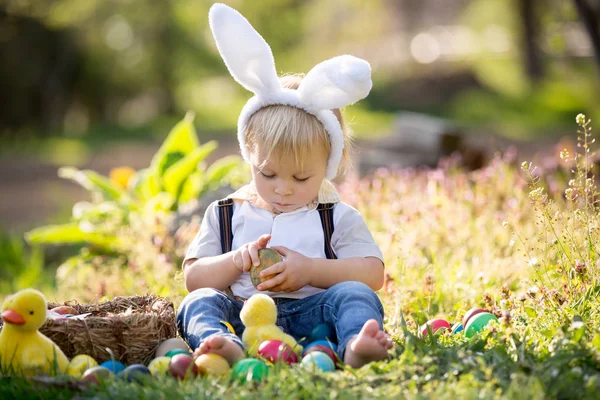 Słodki chłopiec z króliczek uszy, polowanie jaj na Wielkanoc, dziecko — Zdjęcie stockowe