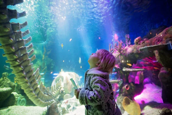 Dítě, těší mořský život v akváriu — Stock fotografie