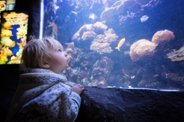 Çocuk, akvaryumda deniz yaşamının tadını çıkarıyor.