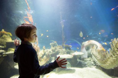 Çocuk, akvaryumda deniz yaşamının tadını çıkarıyor.