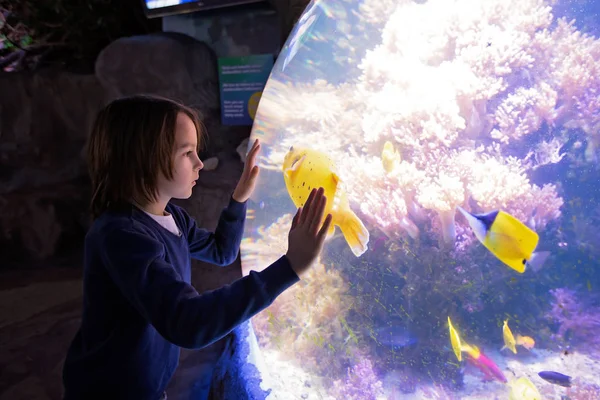 Niño, disfrutando de la vida marina en el acuario — Foto de Stock