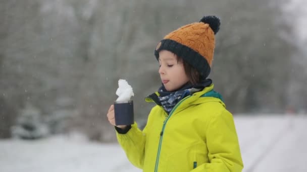 Dulce Niño Jugando Con Nieve Patio Recreo Niño Jugar Con — Vídeo de stock