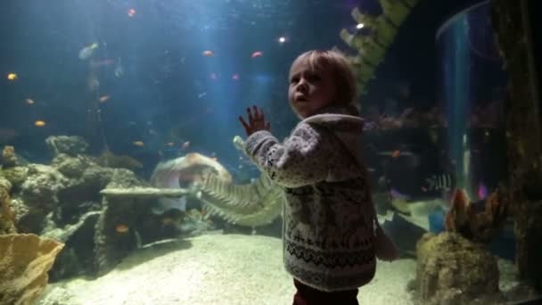 Παιδί Απολαμβάνοντας Θαλάσσια Ζωή Στο Ενυδρείο Βλέποντας Ψάρια — Αρχείο Βίντεο