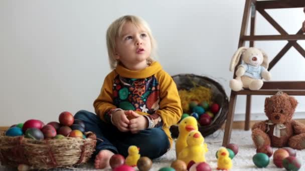 幼児の子供 ブロンドの男の子イースターエッグで遊んでいます 子供たちは卵や雛と遊ぶ — ストック動画