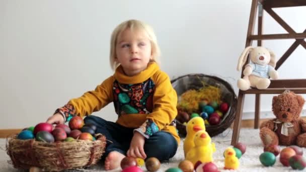 托德勒的孩子 金发男孩玩复活节彩蛋 孩子们玩鸡蛋和小鸡 — 图库视频影像