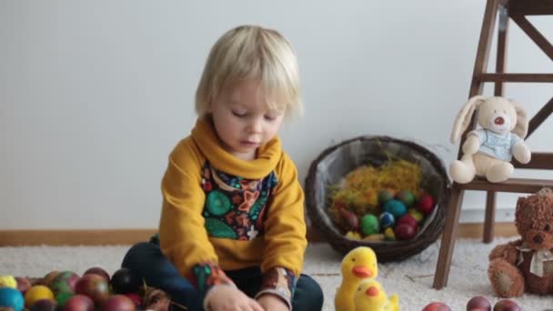 Toddler Child Blonde Boy Playing Easter Eggs Children Plays Eggs — Stock Video