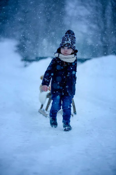 Netter Junge Spielt Mit Teddybär Schnee Winterzeit Kleines Kleinkind Spielt — Stockfoto