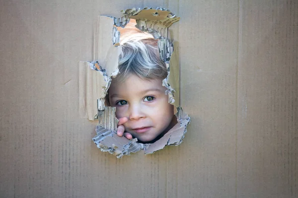 Tatlı Çocuk Tatlı Sarışın Çocuk Karton Kutuda Saklanıyor Delikten Dışarı — Stok fotoğraf