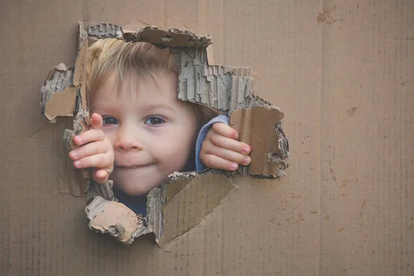 Lief Peuter Kind Leuke Blonde Jongen Verstopt Kartonnen Doos Kijken — Stockfoto