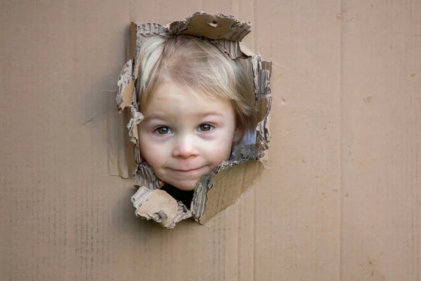 Lief Peuter Kind Leuke Blonde Jongen Verstopt Kartonnen Doos Kijken — Stockfoto