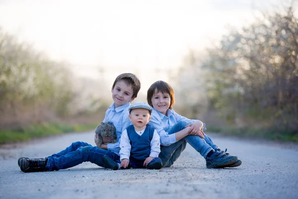 Τρία Παιδιά Αδέλφια Αγόρι Στο Πάρκο Παίζει Μικρά Λαγουδάκια Στη — Φωτογραφία Αρχείου