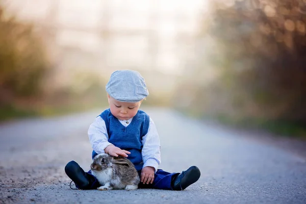 可爱的蹒跚学步的孩子 孩子在乡间小路上和小兔子玩耍 日落时树木盛开 — 图库照片