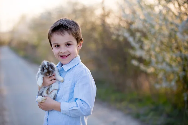 Preschool Child Cute Boy Playing Little Rabbit Outdoors Kid Bunny — Stock Photo, Image