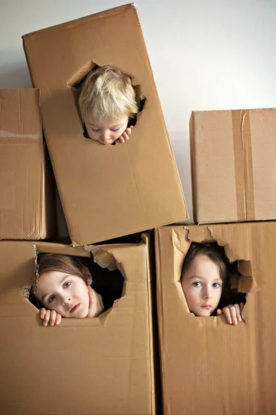 Tatlı Çocuklar Erkek Kardeşler Karton Kutuda Saklanıyorlar Dışarıyı Izliyorlar Izole — Stok fotoğraf