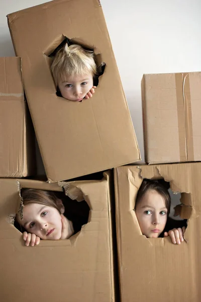 Tatlı Çocuklar Erkek Kardeşler Karton Kutuda Saklanıyorlar Dışarıyı Izliyorlar Izole — Stok fotoğraf