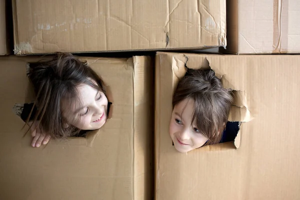 Sweet Children Boy Brothers Hiding Cardboard Box Looking Out Isolated — Stock Photo, Image