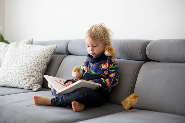 Little Toddler Child Blond Boy Reading Book Sweet Chicks Him — Stock Photo, Image