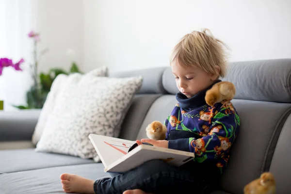 Kleines Kleinkind Blonder Junge Lesebuch Mit Süßen Küken Sich Herum — Stockfoto