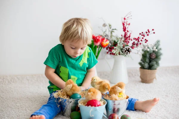 Édes Kisbaba Szőke Fiú Gyermek Játszik Aranyos Kis Újszülött Fiókák — Stock Fotó