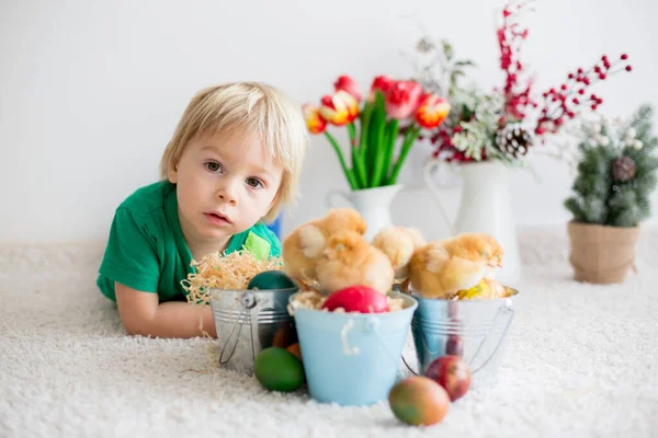 Sweet Toddle Garçon Blond Enfant Jouer Avec Jolies Petites Poussins — Photo