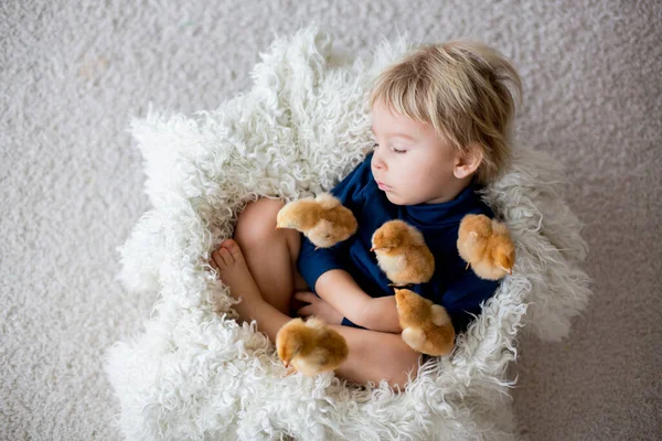 Cute Blond Toddler Boy Sleeping Newborn Chicks Hugging Them Tenderly — Stock Photo, Image