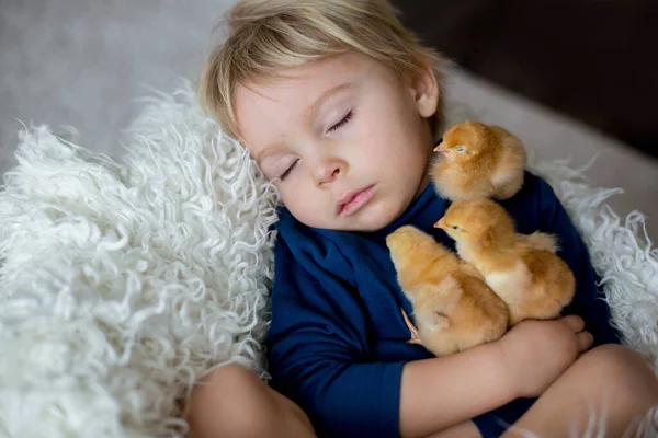 Мила Блондинка Малюк Хлопчик Спить Новонародженими Пташенятами Обіймаючи Ніжно — стокове фото