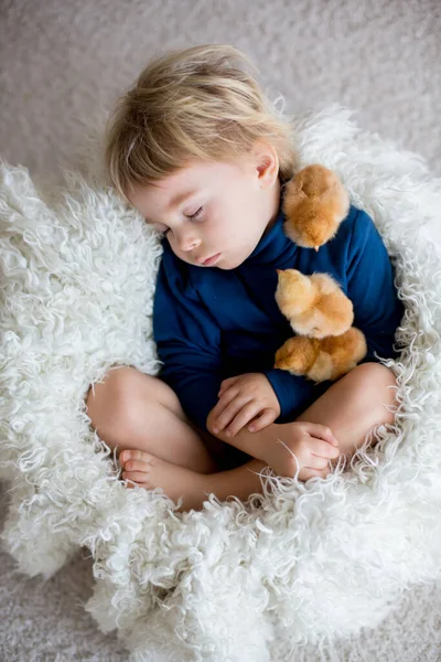 可爱的金发碧眼的男孩儿 和新生的小鸡睡在一起 温柔地拥抱它们 — 图库照片