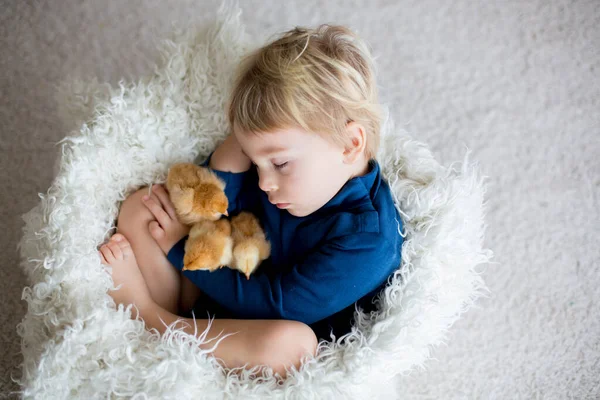 Sevimli Sarışın Çocuk Yeni Doğmuş Piliçlerle Yatıyor Onlara Şefkatle Sarılıyor — Stok fotoğraf