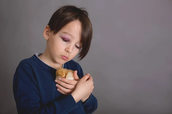 Triste Niño Escuela Con Ojo Morado Sosteniendo Pequeña Mascota Pollo —  Fotos de Stock