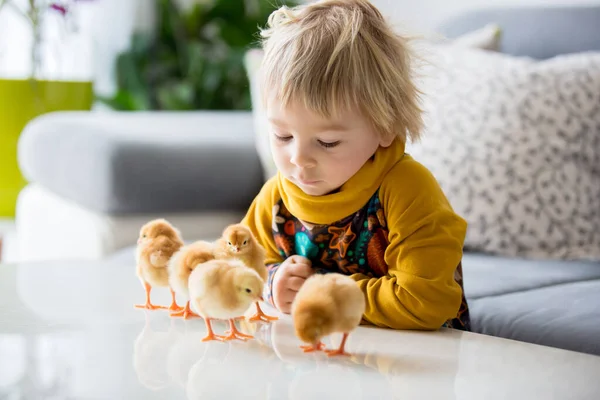 Bonito Doce Pequena Criança Loira Menino Criança Brincando Com Filhotes — Fotografia de Stock