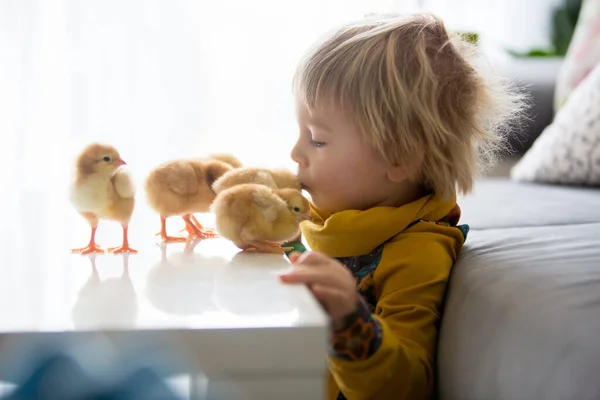 Söta Söta Lilla Blonda Barn Småbarn Pojke Leka Med Små — Stockfoto