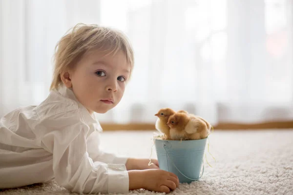 Mignon Doux Petit Blond Enfant Tout Petit Garçon Jouer Avec — Photo