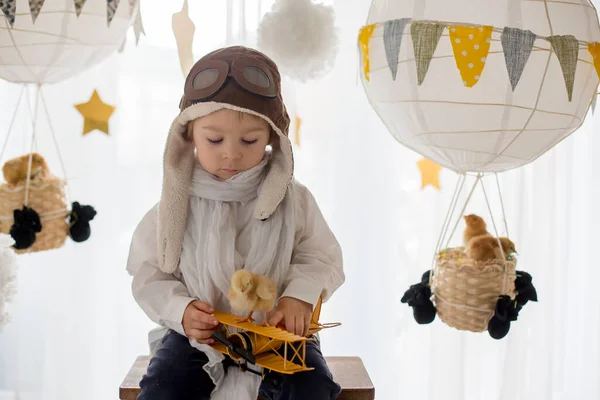 Cute Little Child Boy Playing Chicks Home Pretending Flying Sky — Stock Photo, Image