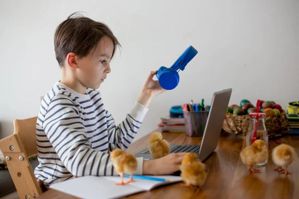 Skolbarn Sitter Vid Bordet Med Laptop Skriver Skoluppgifter Medan Hemundervisning — Stockfoto