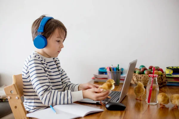 Criança Escolar Sentada Mesa Com Laptop Escrevendo Tarefas Escolares Enquanto — Fotografia de Stock