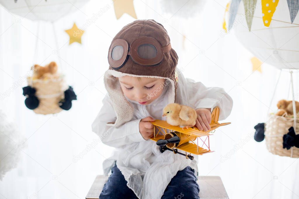 Cute little child, boy, playing with chicks at home, pretending that he is flying in the sky, pilot with plane and pet chick