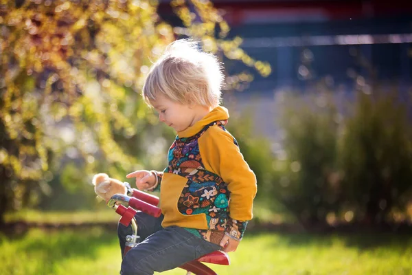 Lief Blond Kind Peuter Jongen Paardrijden Driewieler Met Kleine Kuikens — Stockfoto