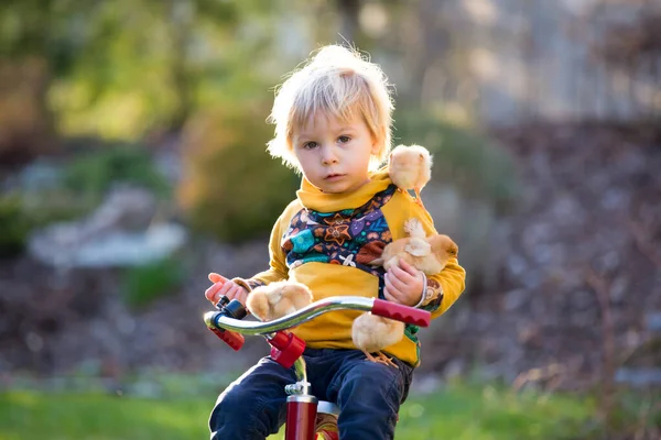 可爱的金发碧眼的孩子 蹒跚学步的男孩 带着小鸡在花园里骑三轮车 和小鸡玩耍 — 图库照片