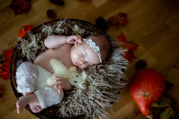 Zavřít Portrét Novorozeně Holčičky Studiu — Stock fotografie