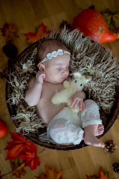 Retrato Cercano Niña Recién Nacida Estudio — Foto de Stock