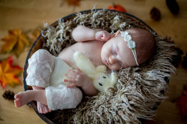 Pequeño Bebé Recién Nacido, Durmiendo Con El Oso De Peluche En Casa En Cama  Foto de archivo - Imagen de manta, almohadillas: 101284532