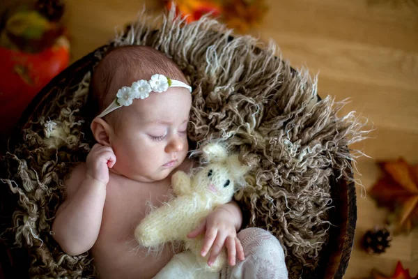 Close Portrait Newborn Baby Girl Studio — Stock Photo, Image