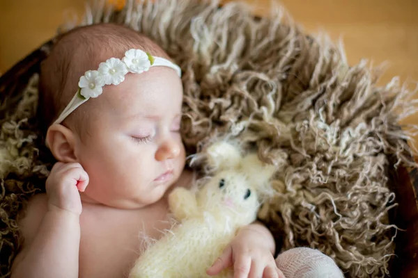 Close Portrait Newborn Baby Girl Studio — Stock Photo, Image