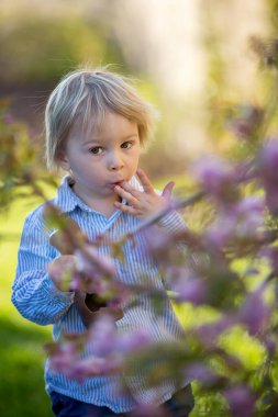 Küçük çocuk, gün batımında bahçede çikolatalı tavşan yiyor, etrafında paskalya yumurtaları var.