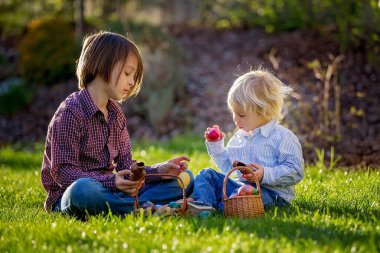 Tatlı çocuklar, çikolatalı tavşanlar yiyorlar ve gün batımında bahçede yumurta avına çıktıktan sonra paskalya yumurtalarıyla kavga ediyorlar.
