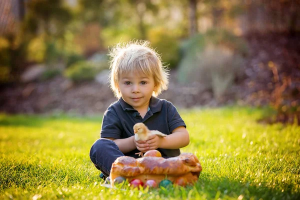 Beautiful Toddler Boy Eating Sweet Bread Eggs Garden Sunset Little — Stock Photo, Image