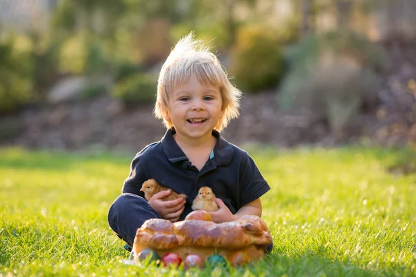 美しい幼児の男の子 日没の庭で甘いパンと卵を食べる 彼の周りを走っている小さな雛 — ストック写真